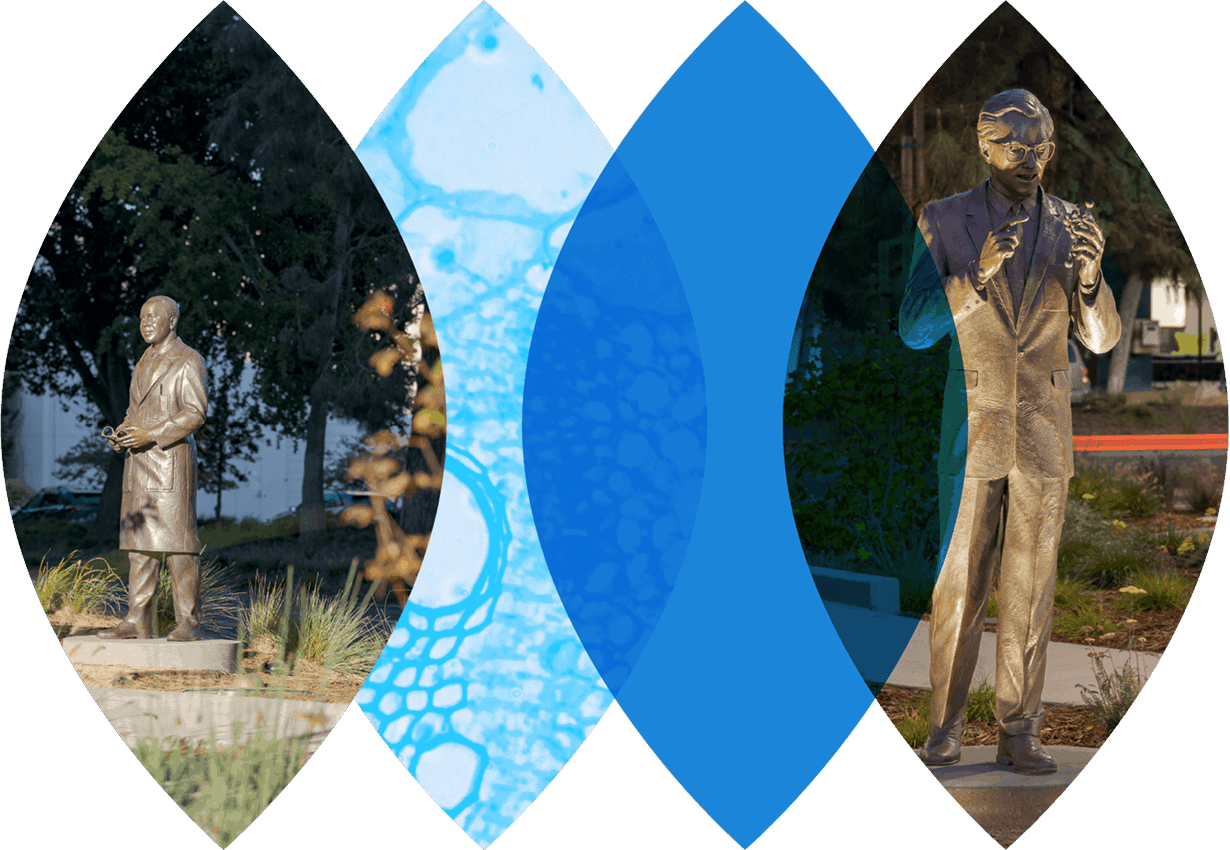 Innovator Walk Hero 2 1