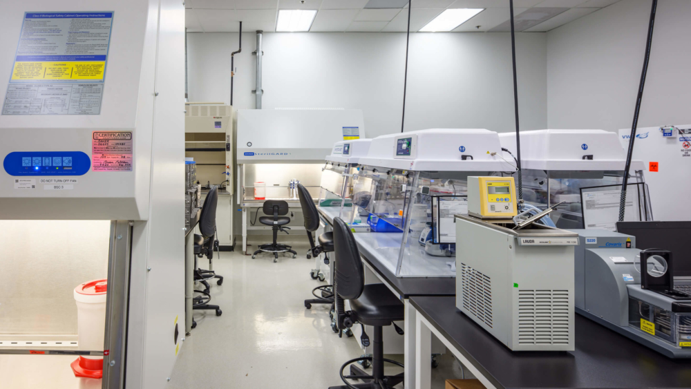 Menlo Park Labs Availability