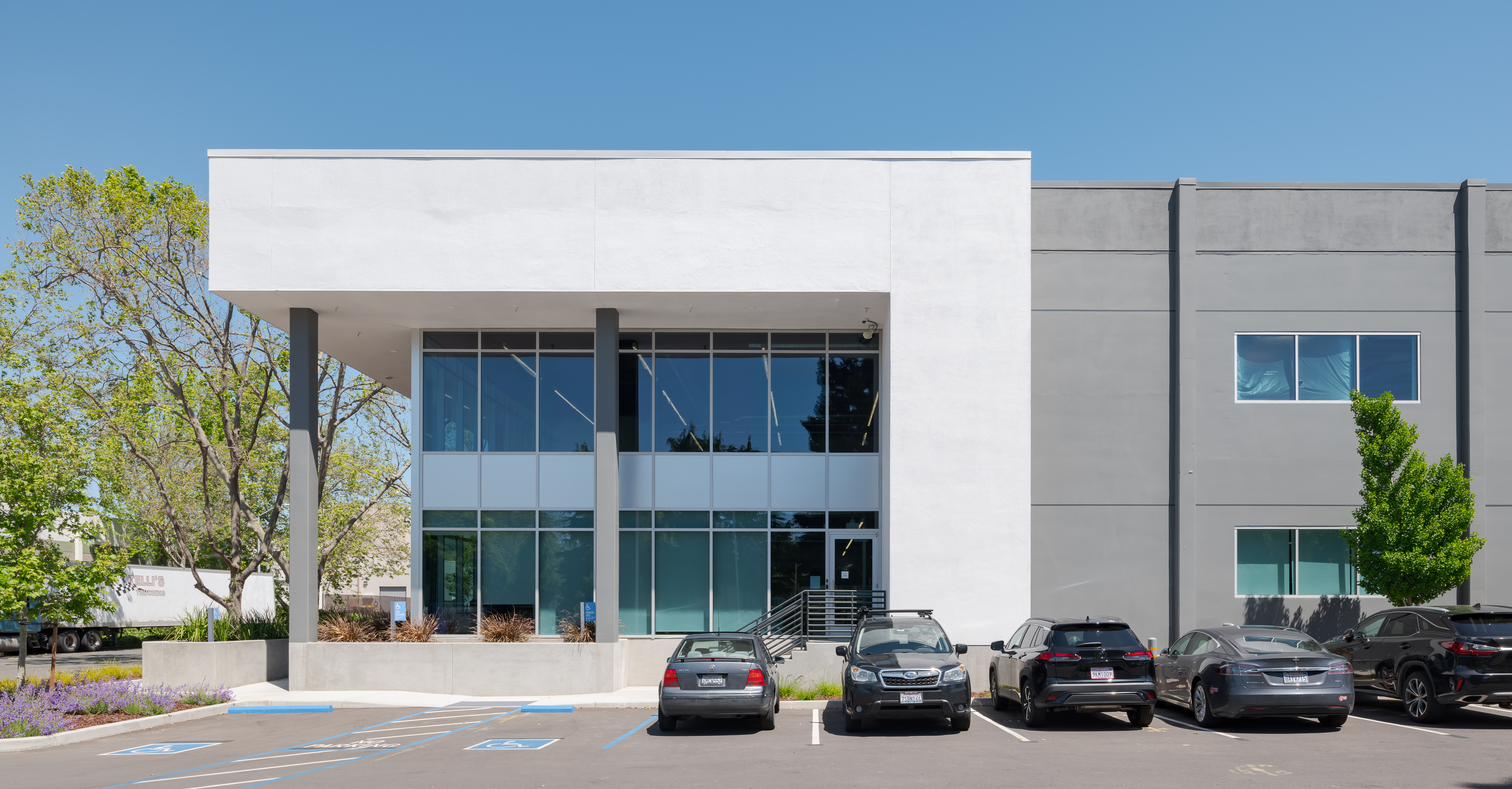 TARLTON 1190 ZEPHYR 080