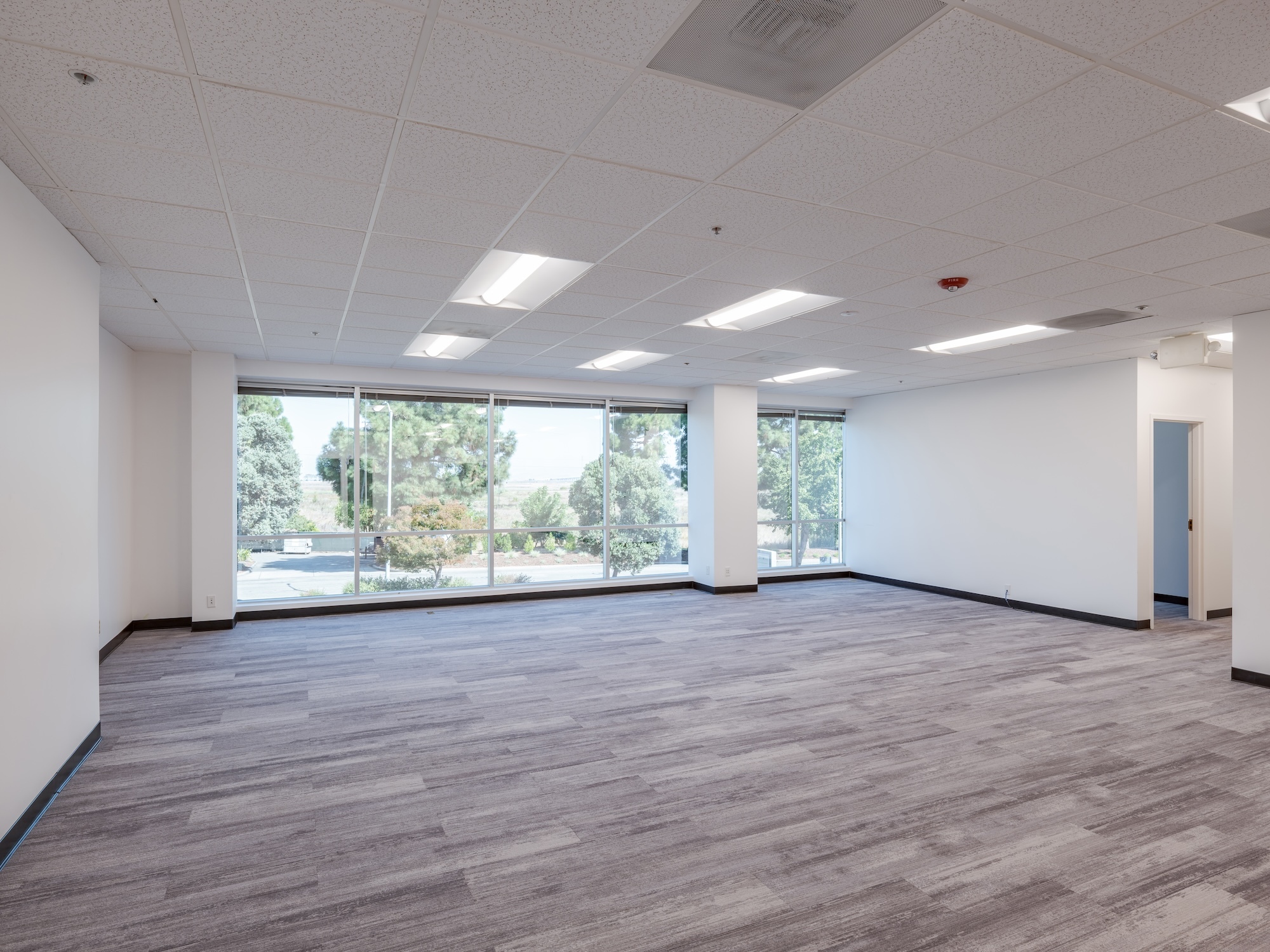 TARLTON 1505 ADAMS B 483