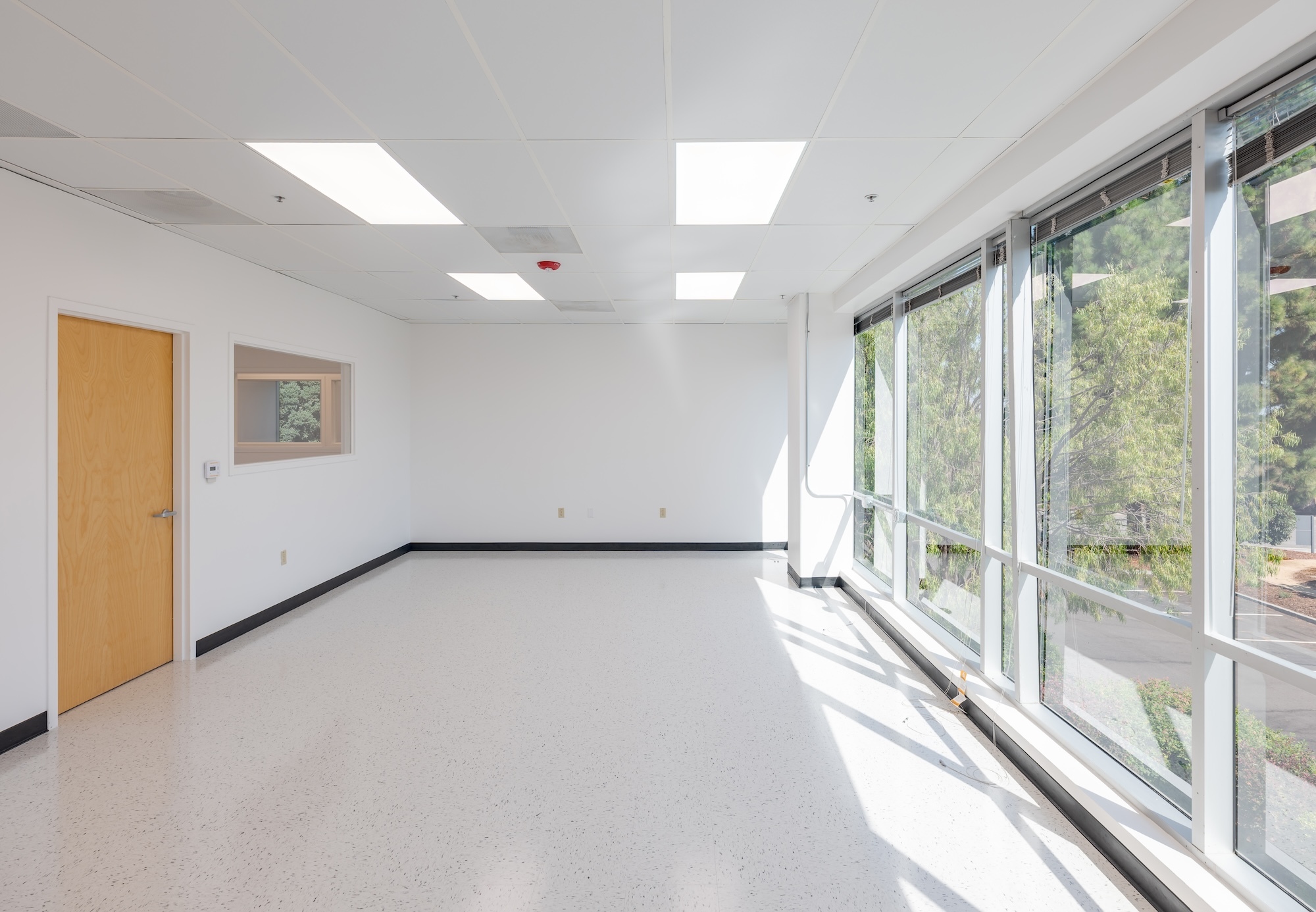 TARLTON 1505 ADAMS B 494