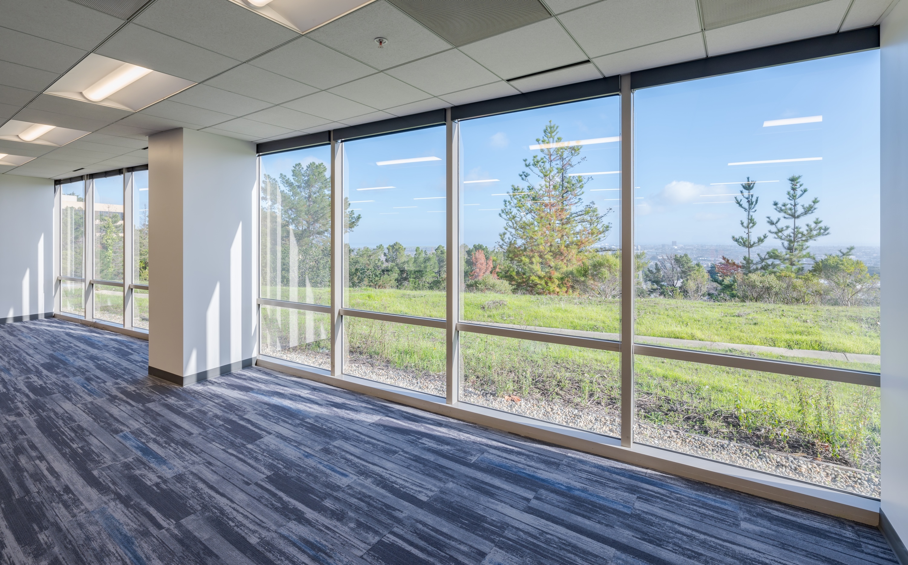 TARLTON 2955 CAMPUS INT 022