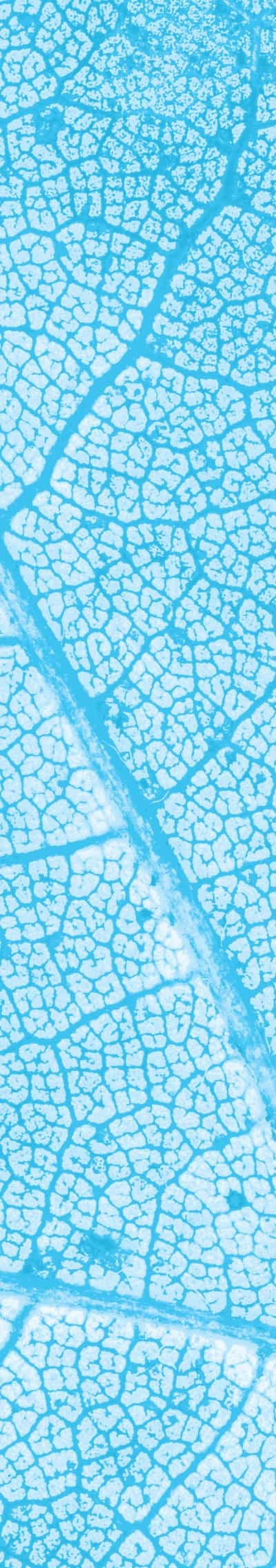 Texture Contact