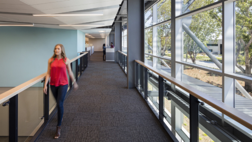 Menlo Park Labs Interior 4