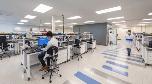 Tarlton Web Photos Billion To One Gallery 5