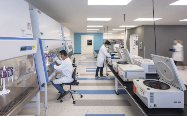 Tarlton Web Photos Billion To One Gallery 7